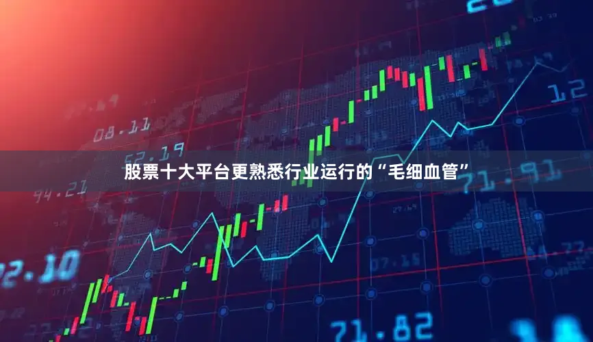 股票十大平台更熟悉行业运行的“毛细血管”